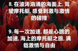 雷速体育下载-激情拼搏！每一次进攻都刺激人心！的简单介绍