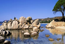 雷速体育直播官网-包含足球赛关键战役在即，团队战无不胜的词条