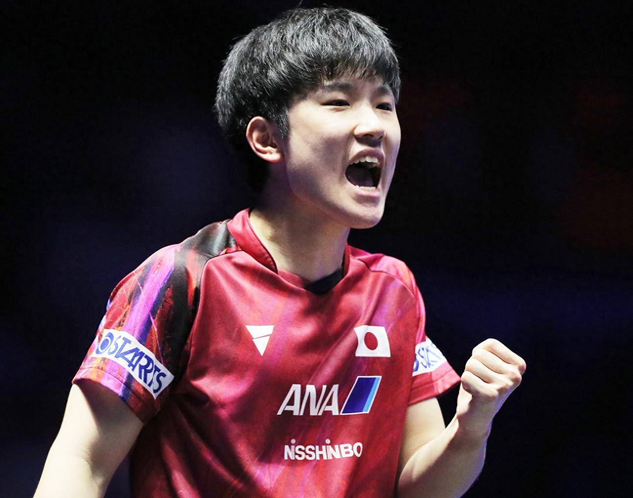 关于比利时乒乓球队完胜德国乒乓球队，张本智和统治全场的信息