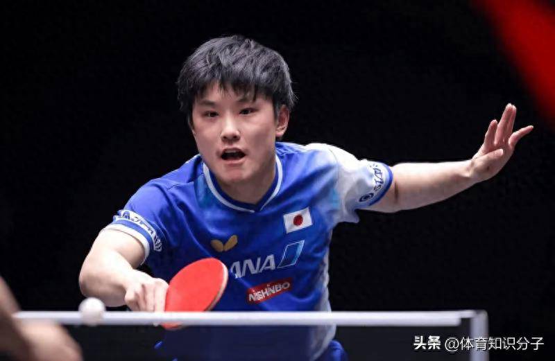 包含韩国乒乓球队险胜日本乒乓球队,张本智和打破历史纪录的词条 包含韩国乒乓球队险胜日本乒乓球队,张本智和打破历史纪录的词条