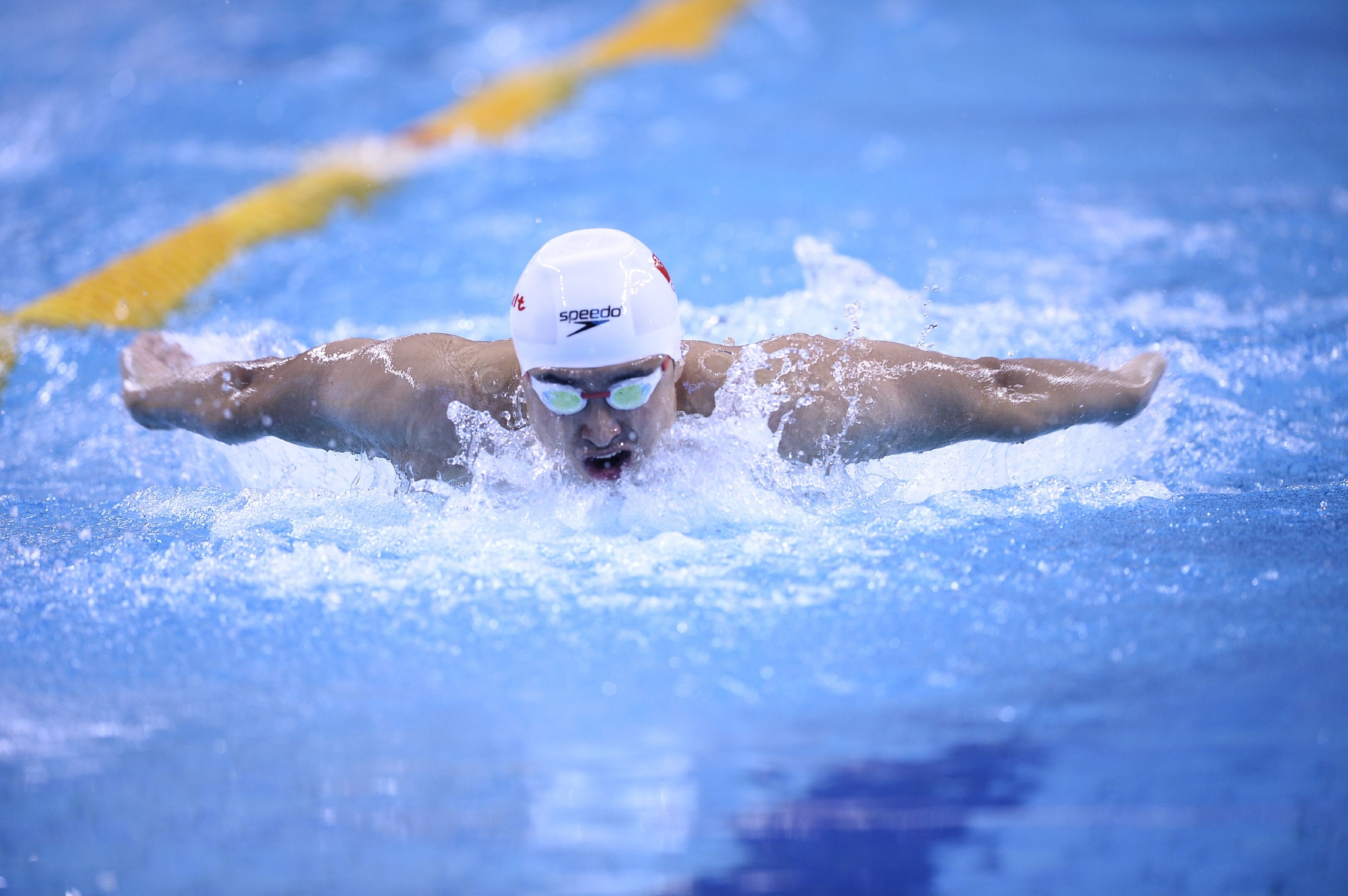 游泳赛事精彩瞬间盘点,年度回顾震撼登场 游泳赛事精彩瞬间盘点,年度回顾震撼登场